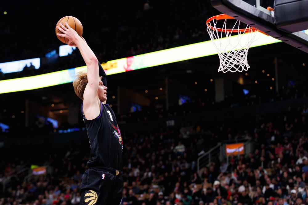 在这篇文章 在这篇文章